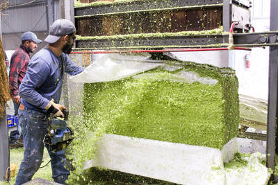 Baling hops at CLS Farms.